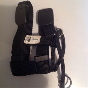 The Illusion Dog Collar